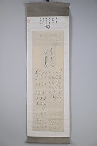 海洋センター絵画資料　28鈎　フナ・タナゴ・スズキ・ナマヅ・ウグヒ・クロダイ