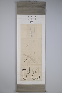 海洋センター絵画資料　29鈎　カツヲ・マグロ・フカ