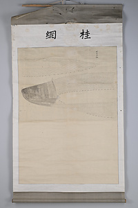 海洋センター絵画資料　52桂網