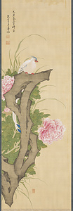 牡丹綬帯鳥図
