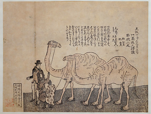 文政四辛己七月上旬阿蘭陀人持渡駱駝二疋