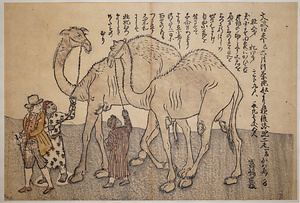 文政四辛己六月阿蘭陀舩より持渡駱駝二疋一名かめゑる