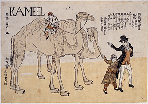 阿蘭陀人持渡駱駝 KAMEEL 蘭語カメール