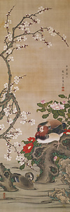 梅に鴛鴦図