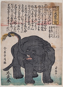 天竺馬爾加国大象ノ図