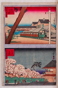 梅田停車場・松島夜桜（坂府新名所）