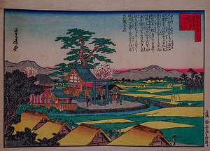 大仁邑一本松の社（写真浪花百景）