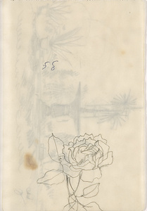 『未知草カード』[第二]より　[ばら、一部］