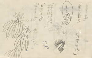 『未知草カード』第四より　「五十八、ゆづり葉」