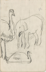 『未知草カード』第三より　「十二、火食どり、小象」