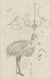 『未知草カード』第三より　「二十二、火食どり」