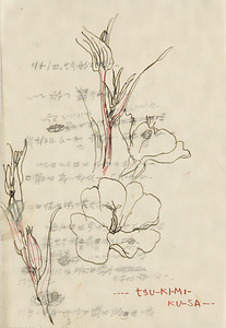 『未知草カード』[第二]より　「TSU-KI-MI-KU-SA」