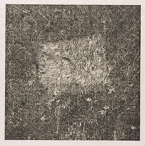 Transposition 転位 I