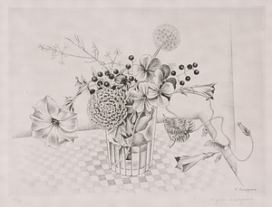 せんじゅ菊と草花