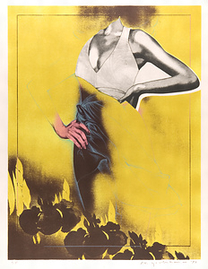 版画集『公園』 2 かきつばた