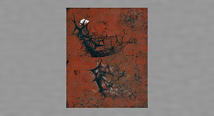 陽（からたち）