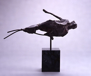 もどれない風（太田川２）