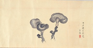 玉蘊画帖　1）霊芝図