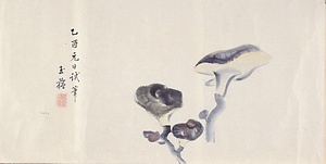 玉蘊画帖　3）茸図