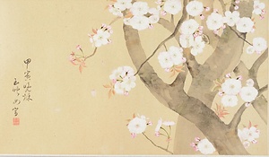 雑画巻　6）桜