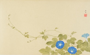 雑画巻　10）朝顔図