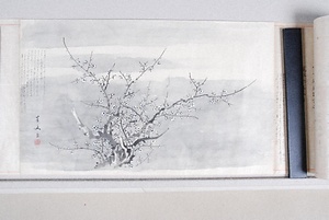 浴恩園図并詩歌巻　7）大明梅記