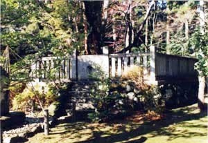 彌彦神社神木石柵