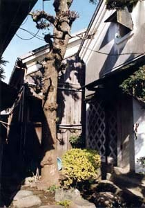 成子家住宅酒蔵一