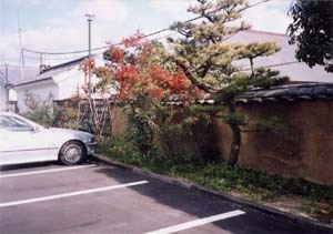郷屋敷（旧井上家住宅）西練塀