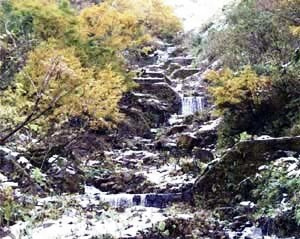 日影沢中流域床固工