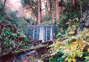 正法寺川狸沢第二号石堰堤