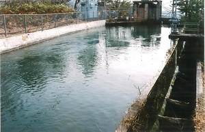 平作原発電所水槽