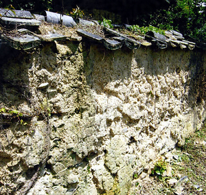 鎌村家住宅西土塀