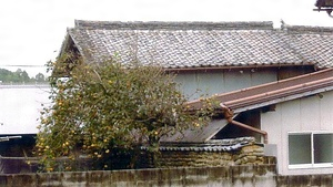 久保家住宅離れ