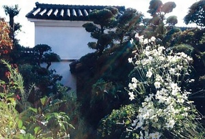 河合家住宅内蔵及び渡廊下