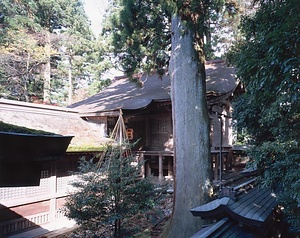 雄山神社前立社壇本殿