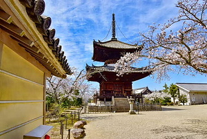 叡福寺 多宝塔