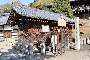 東大寺二月堂閼伽井屋(若狭井屋)