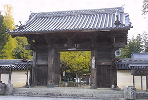 誕生寺 山門