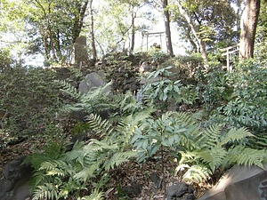 江古田の富士塚