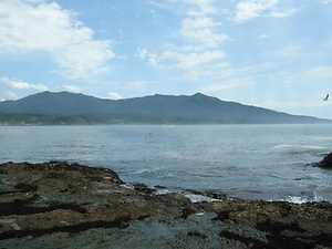 アポイ岳高山植物群落