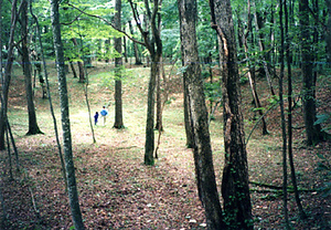 キウス周堤墓群