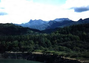 夕張岳の高山植物群落および蛇紋岩メランジュ帯