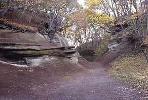 浪打峠の交叉層