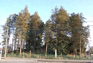 小見真観寺古墳