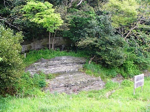 諸磯の隆起海岸