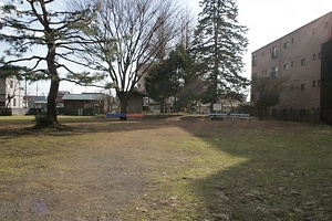 相模国分尼寺跡