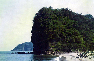 筥堅八幡宮社叢