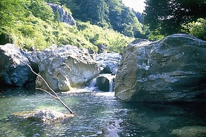 青海川の硬玉産地及び硬玉岩塊