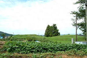 桜谷古墳